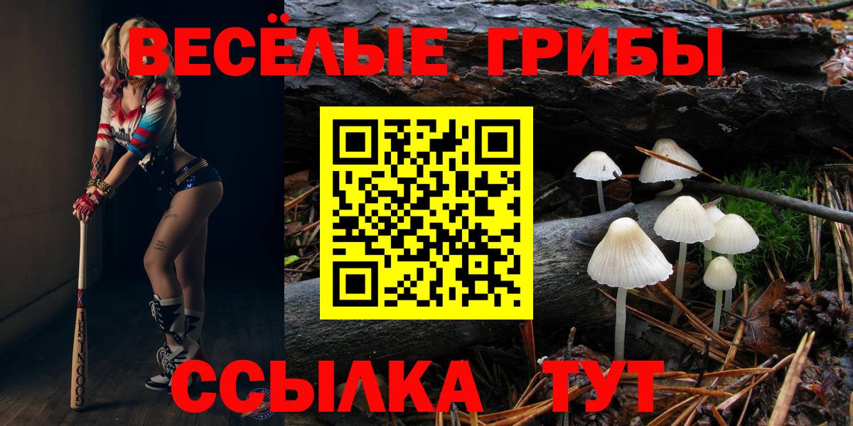Лобня  наркошоп  Вход с VPN  Псилоцибиновые грибы Psilocybe 